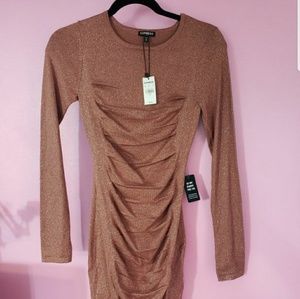 Express- Long sleeve sweater body con dress